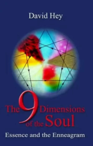 Image of The 9 dimensions of the soul by David Hey
