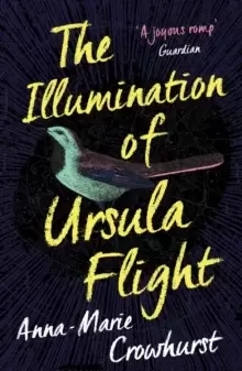 Image of The Illumination of Ursula Flight