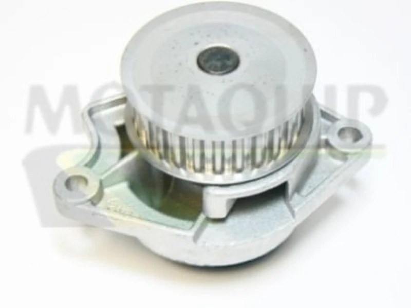 Image of MOTAQUIP Water pump MOTAQUIP VWP749