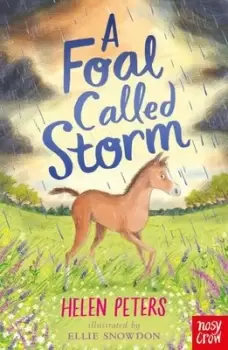 Image of A Foal Called Storm