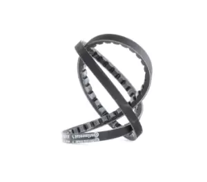 Image of CONTITECH V Belt AVX10X875 Fenner Belt VW,AUDI,MERCEDES-BENZ,TRANSPORTER III Bus,GOLF I (17),Caddy I Pickup (14),TRANSPORTER III Pritsche/Fahrgestell