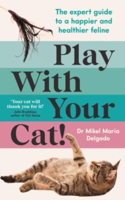 Image of Play With Your Cat! : The expert guide to a happier and healthier feline Paperback / softback