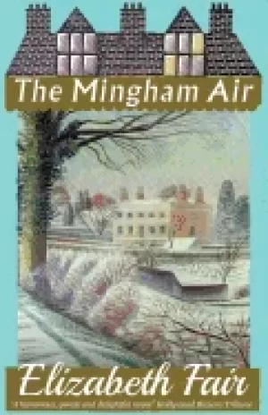 Image of mingham air