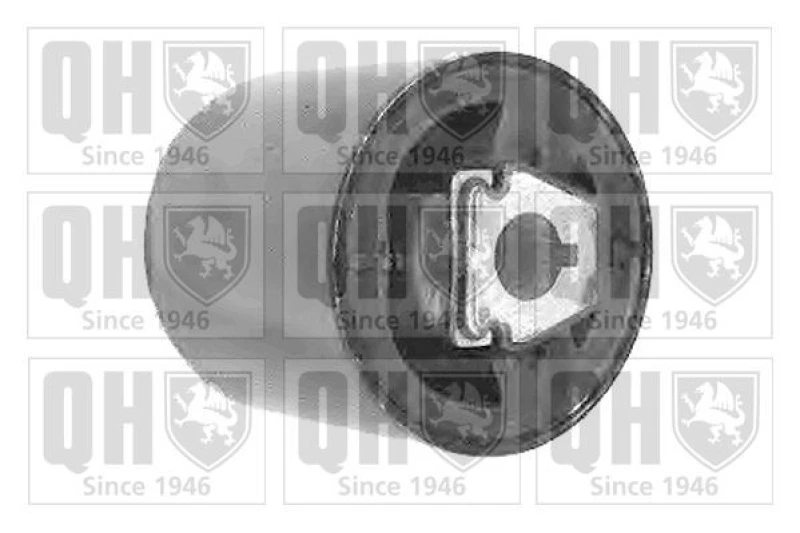 Image of QUINTON HAZELL Trailing arm / Suspension arm bush QUINTON HAZELL EMS8240