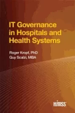 Image of it governance in hospitals and health systems