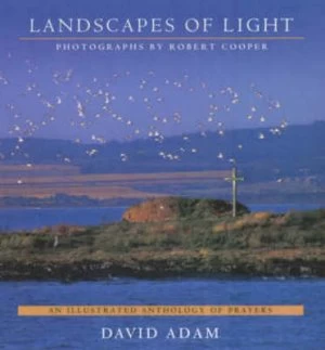 Image of Landscapes of Light by David Adam and Robert Cooper Paperback