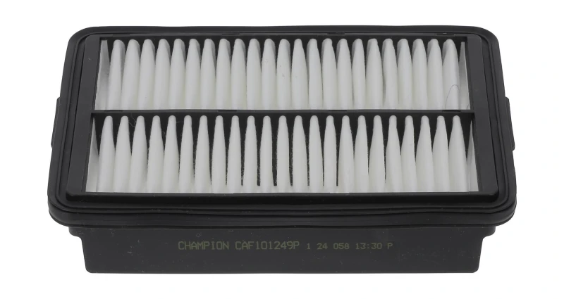 Image of Air filter CHAMPION CAF101249P
