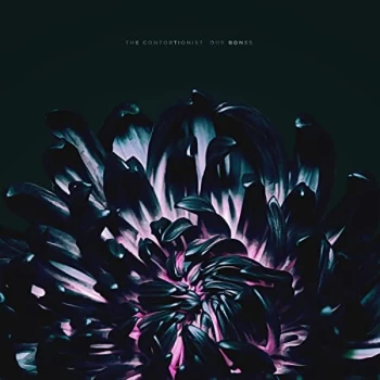 Image of The Contortionist - Our Bones Vinyl