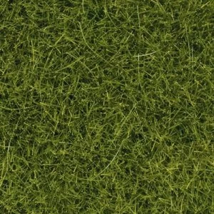 Image of NOCH 07112 Grasslands XL Light green