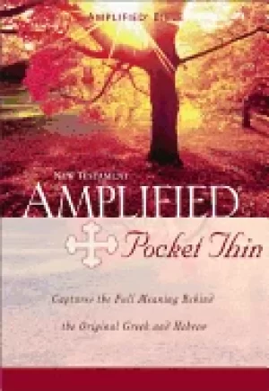 Image of amplified pocket thin new testament