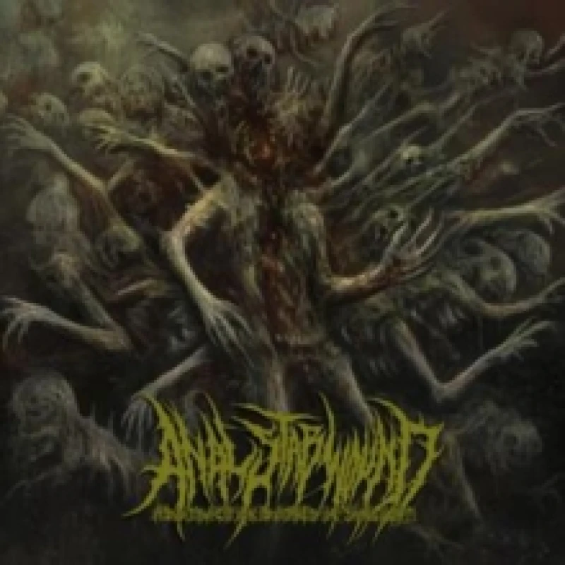 Image of Abstraction Bathes in Sunlight CD / Album