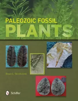 Image of Paleozoic fossil plants by Bruce L Stinchcomb