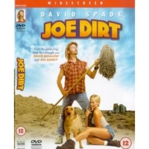 Image of Joe Dirt DVD
