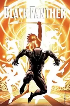 Image of Black Panther: A Nation Under Our Feet Book 2 by Ta-Nehisi Coates