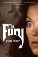 Image of fury a novel