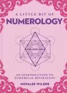 Image of little bit of numerology an introduction to numerical divination