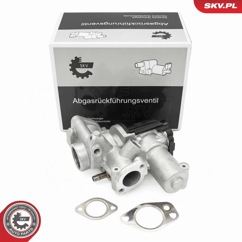 Image of ESEN SKV EGR valve ESEN SKV 14SKV253