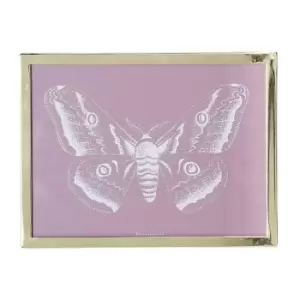 Image of Bloomingville Black cactus frame 40x30cm - Gold