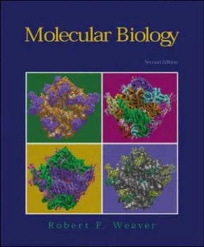 Image of Molecular Biology by Robert F Weaver Paperback