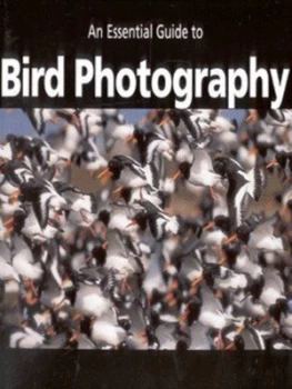 Image of An Essential Guide to Bird Photography by Steve Young Paperback