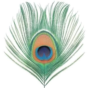 Image of Xtc - Wasp Star (Apple Venus Vol. 1) Vinyl