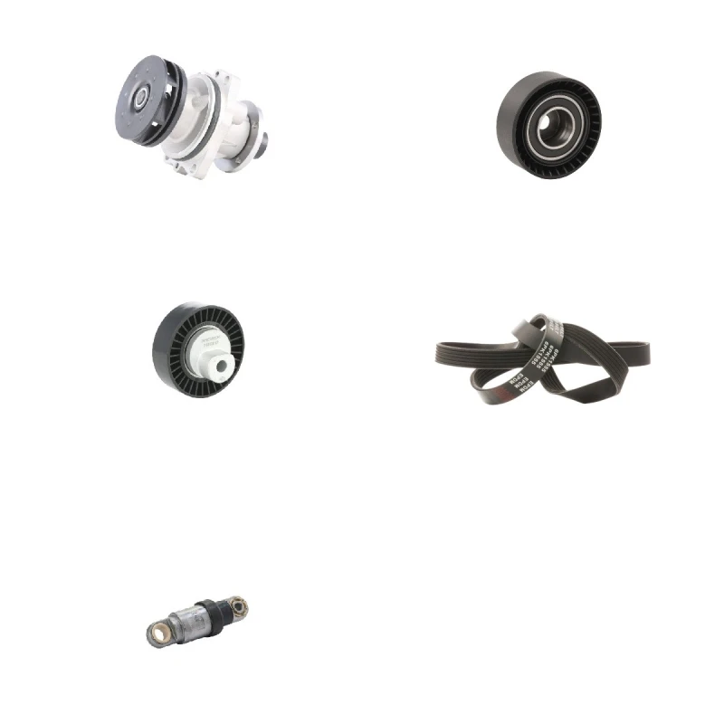 Image of RIDEX 4172P0060 Water Pump + V-Ribbed Belt Kit Water Pump + V-Ribbed Belt Kit (4172)