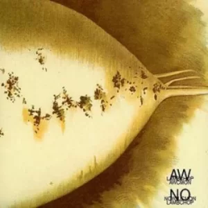 image of Aw Cmon/no You Cmon by Lambchop CD Album