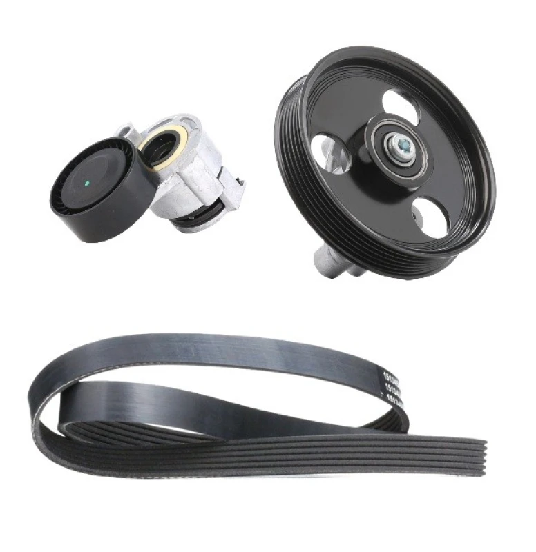 Image of RIDEX 542R1017 V-ribbed belt set V-Ribbed Belt Set (542)