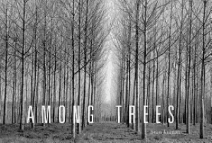 Image of among trees