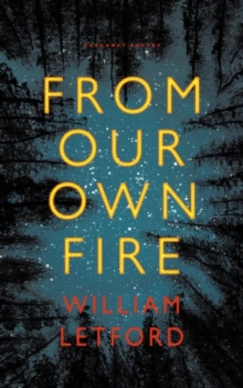 Image of From Our Own Fire Paperback / softback
