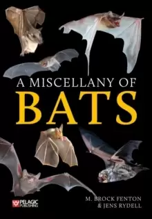 Image of A Miscellany of Bats