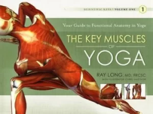 Image of The key muscles of yoga by Ray Long