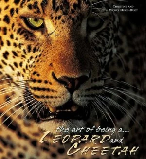 Image of Leopards and Cheetahs by Christine Denis-Huot and Michel Denis-Huot Hardback
