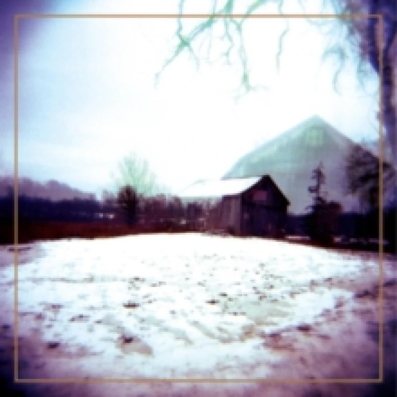 Image of House With No Home (Deluxe Edition) Vinyl