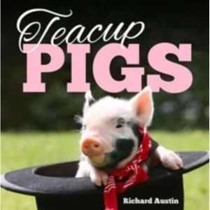 Image of Teacup Pigs by Richard
