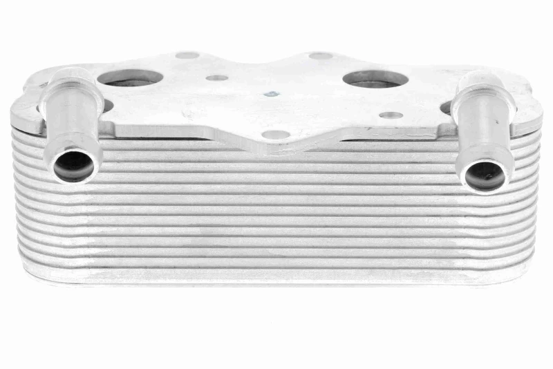 Image of Engine oil cooler VEMO V40-60-2096