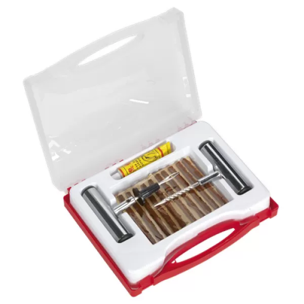 image of Genuine SEALEY TST10 Temporary Puncture Repair Kit