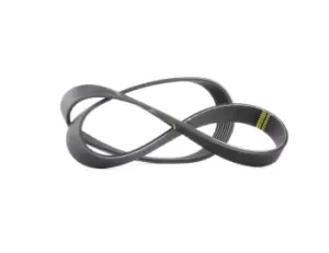 Image of Bosch V-ribbed belt 1 987 946 248 Serpentine belt,Auxiliary belt BMW,RENAULT,NISSAN,7 (E38),8 (E31),Clio III Schragheck (BR0/1, CR0/1)