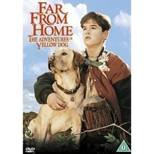 Image of Far From Home The Adventures Of Yellow Dog DVD