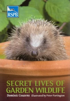 Image of Secret Lives of Garden Wildlife by Dominic Couzens Paperback