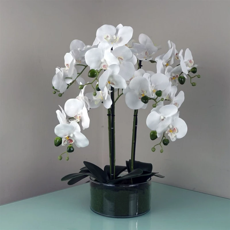Image of Leaf Artificial Orchid with Glass Planter White Botanik Green