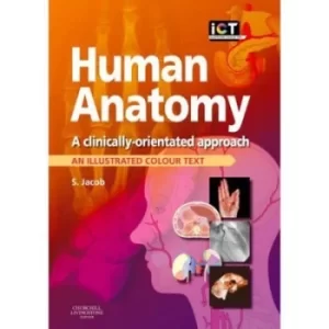 Image of Human anatomy by S Jacob