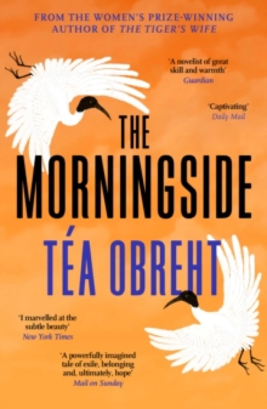 Image of The Morningside : Shortlisted for the Climate Fiction Prize Paperback / softback