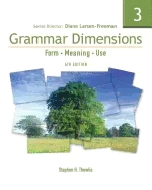 Image of grammar dimensions 3 form meaning and use fourth edition