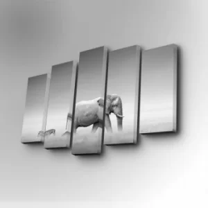 Image of 5PUC-037 Multicolor Decorative Canvas Painting (5 Pieces)