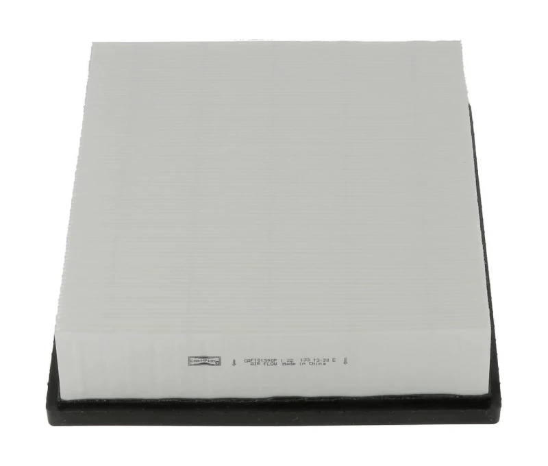 Image of Air filter CHAMPION CAF101390P