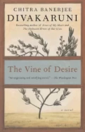 Image of vine of desire a novel