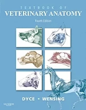 Image of textbook of veterinary anatomy
