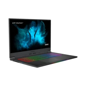 image of MEDION Beast X25 Ryzen 7-5800H 32GB 1TB SSD 17.3" QHD 165Hz GeForce RTX 3080 16GB Windows 11 Laptop