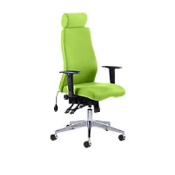 Image of Dynamic Independent Seat & Back Posture Chair Height Adjustable Arms Onyx Myrrh Green Seat With Adjustable Headrest High Back